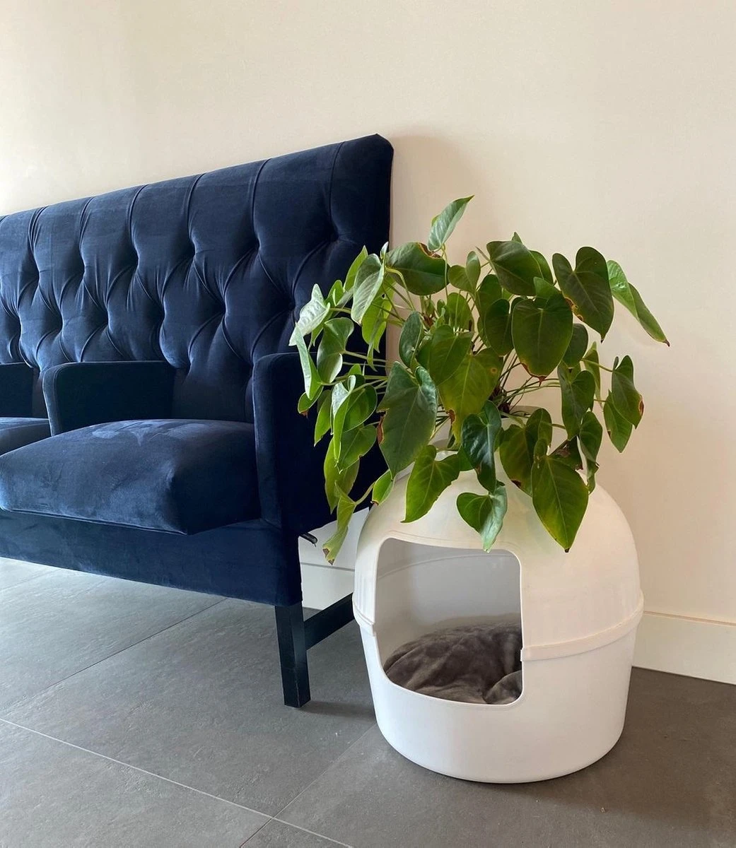 XXL Kattenbak – Verborgen Kattentoilet – Flower XXL Wit Voor Grote Katten Van RHRQuality - Afbeelding 6