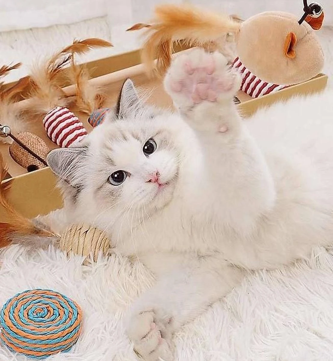 GIZMO Luxe Kattenspeeltjes Set - 7 Speeltjes - Interactieve Kattenhengel, Kattenspeelgoed & Speelmuisjes - Kitten Speeltjes - Afbeelding 6