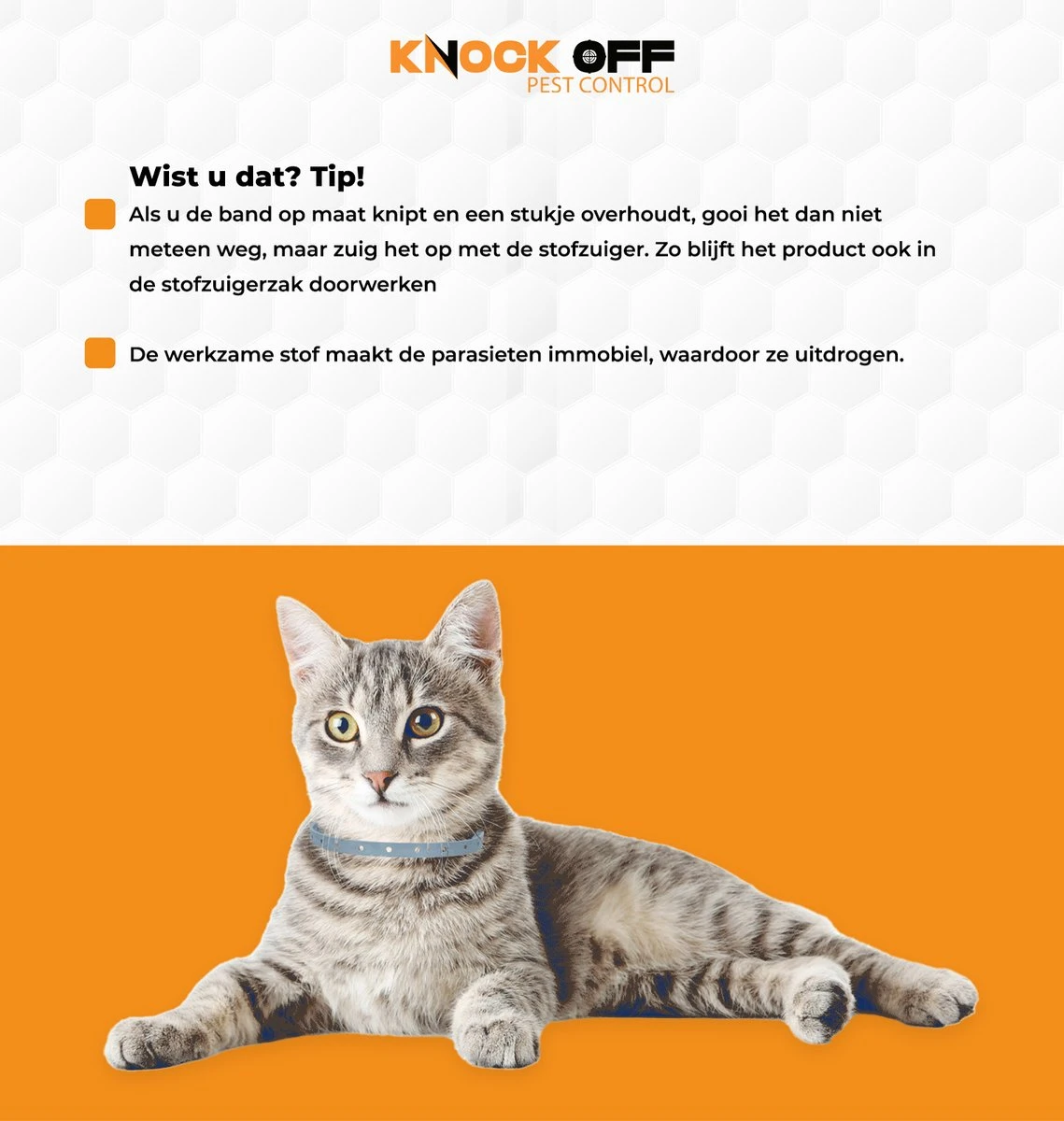 Knock Off Vlooien-tekenband – 100% Natuurlijke Vlooienbestrijding - Zonder Schadelijke Pesticiden Of Gif – Effectief Tot 4 Maanden – Nederlands- En Franstalige Handleiding – Regen- En Waterbestendig - Geschikt Voor Katten – 35 Cm - Afbeelding 3