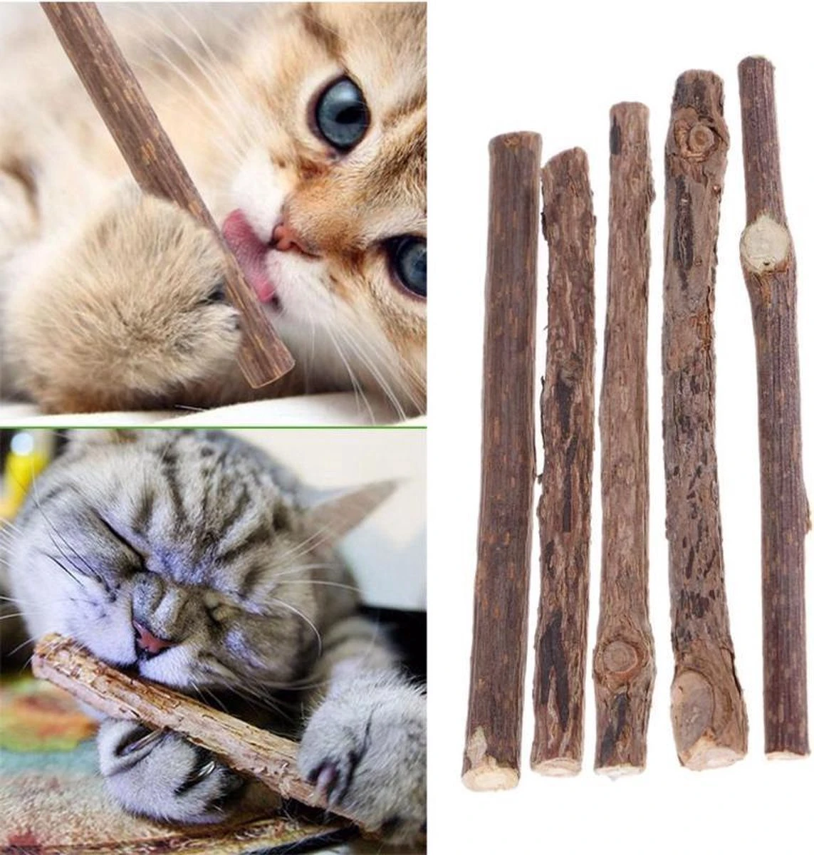 Matatabi Kauwstaafjes Voor Katten - 5x Matabi Stokjes - Kattenspeelgoed - 100% Natuurlijke Sticks - Plantaardig - Silver Vine Kauwstaven Voor Kittens - Kattenkruid Effect - Gebitsverzorging - 5 Stuks Vardaan Kauwstaven Voor Katten - XS - 11 Cm - Afbeelding 6