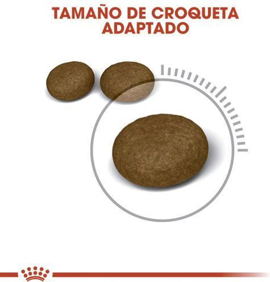 Royal Canin Hair & Skin Care - Kattenvoer - 2 Kg - Afbeelding 9