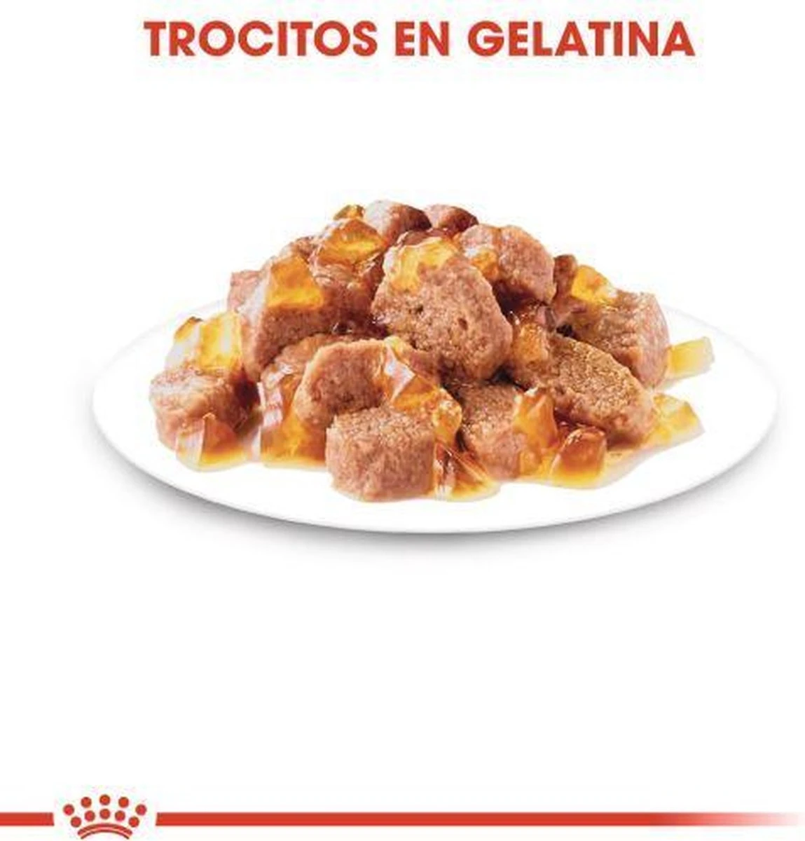 Royal Canin Sterilised In Jelly - Kattenvoer - 1020 G - Afbeelding 5