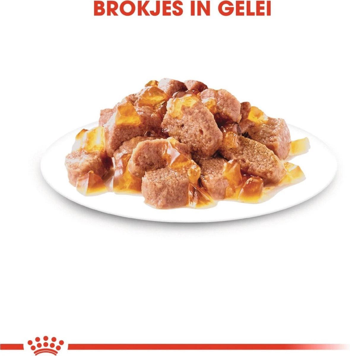 Royal Canin Sterilised In Jelly - Kattenvoer - 1020 G - Afbeelding 9