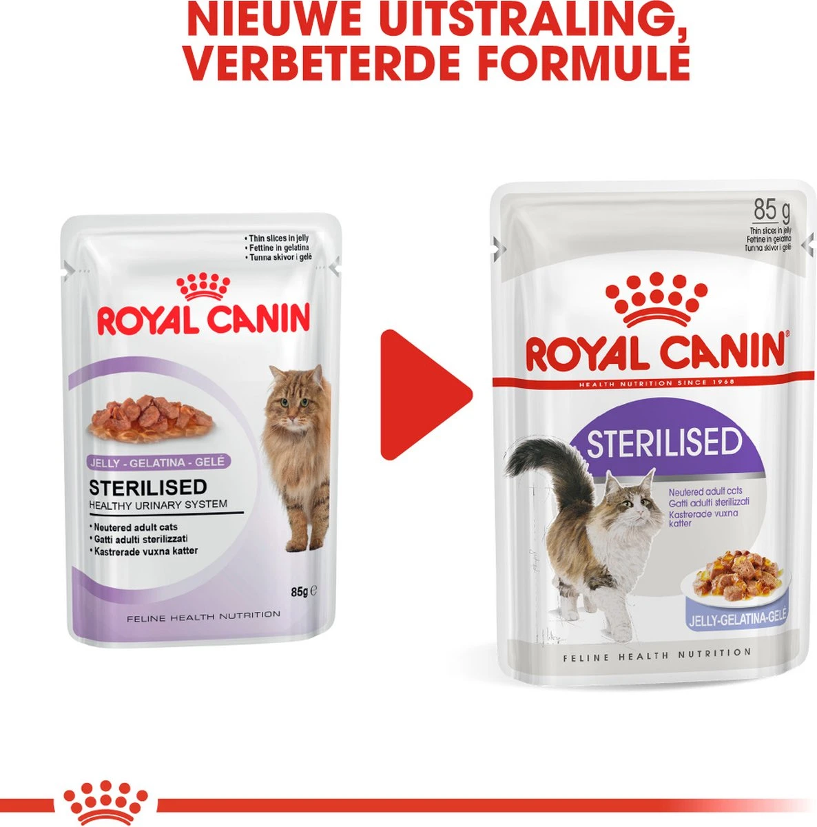 Royal Canin Sterilised In Jelly - Kattenvoer - 1020 G - Afbeelding 8