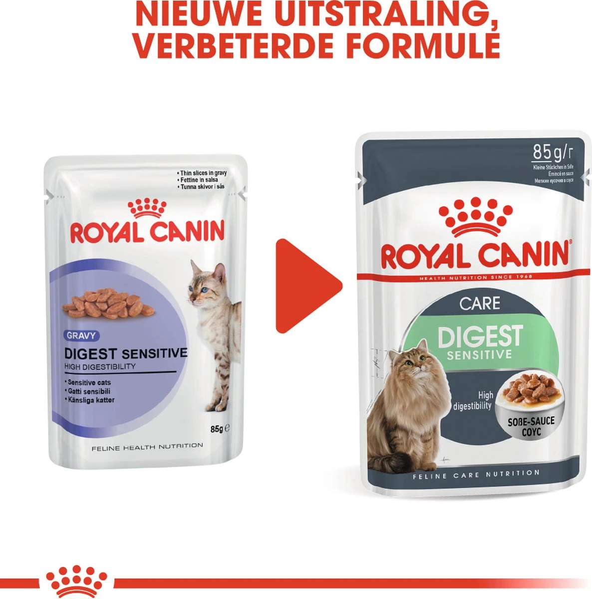 Royal Canin Wet Digest Sensitive (12X85 GR) - Afbeelding 8