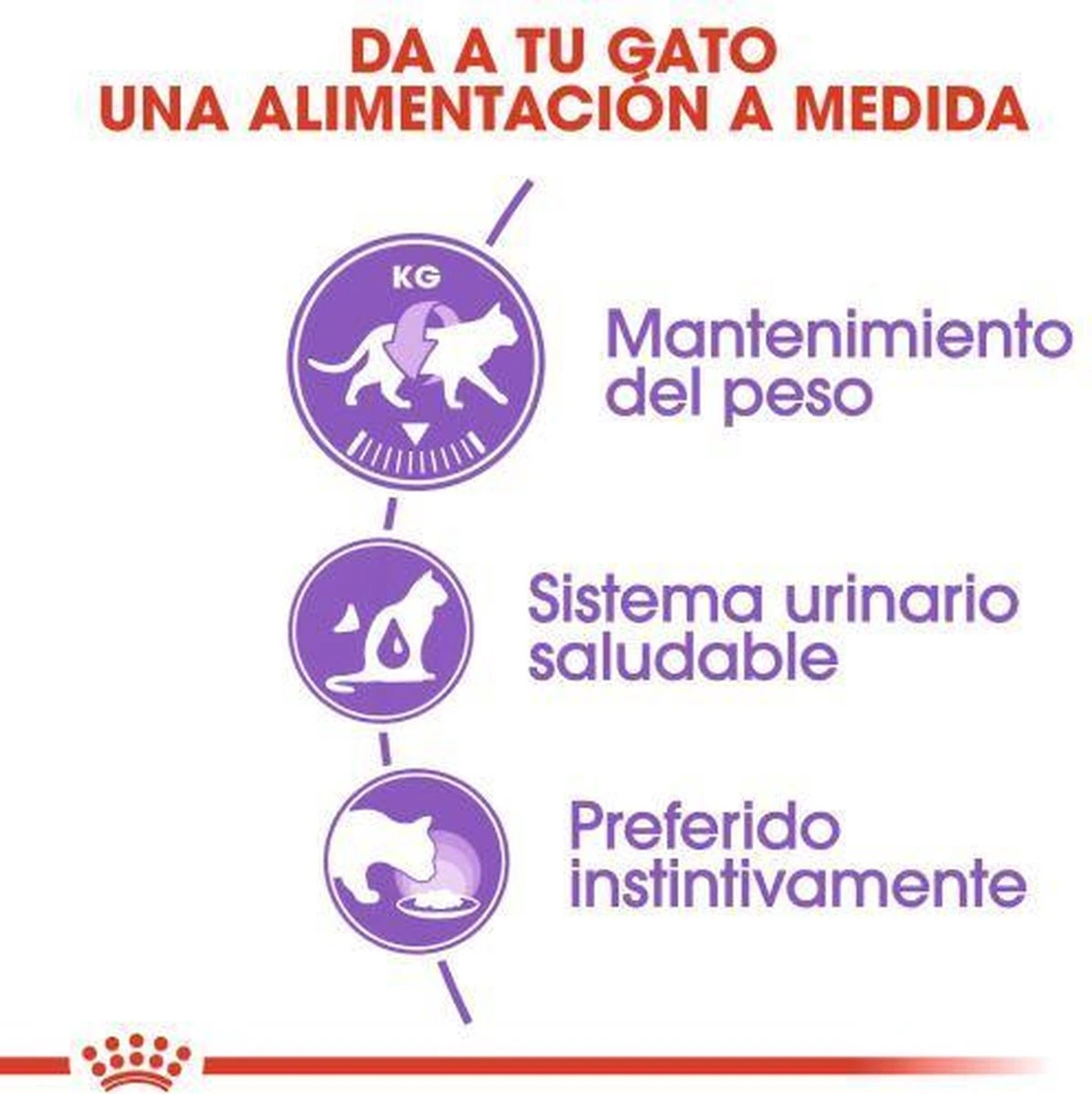 Royal Canin Sterilised In Jelly - Kattenvoer - 1020 G - Afbeelding 13