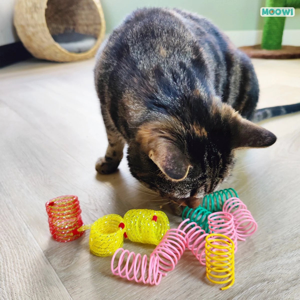 Moowi - Springveren 30 Stuks - Kat - Kattenveertjes - Kattenspeelgoed - Afbeelding 3