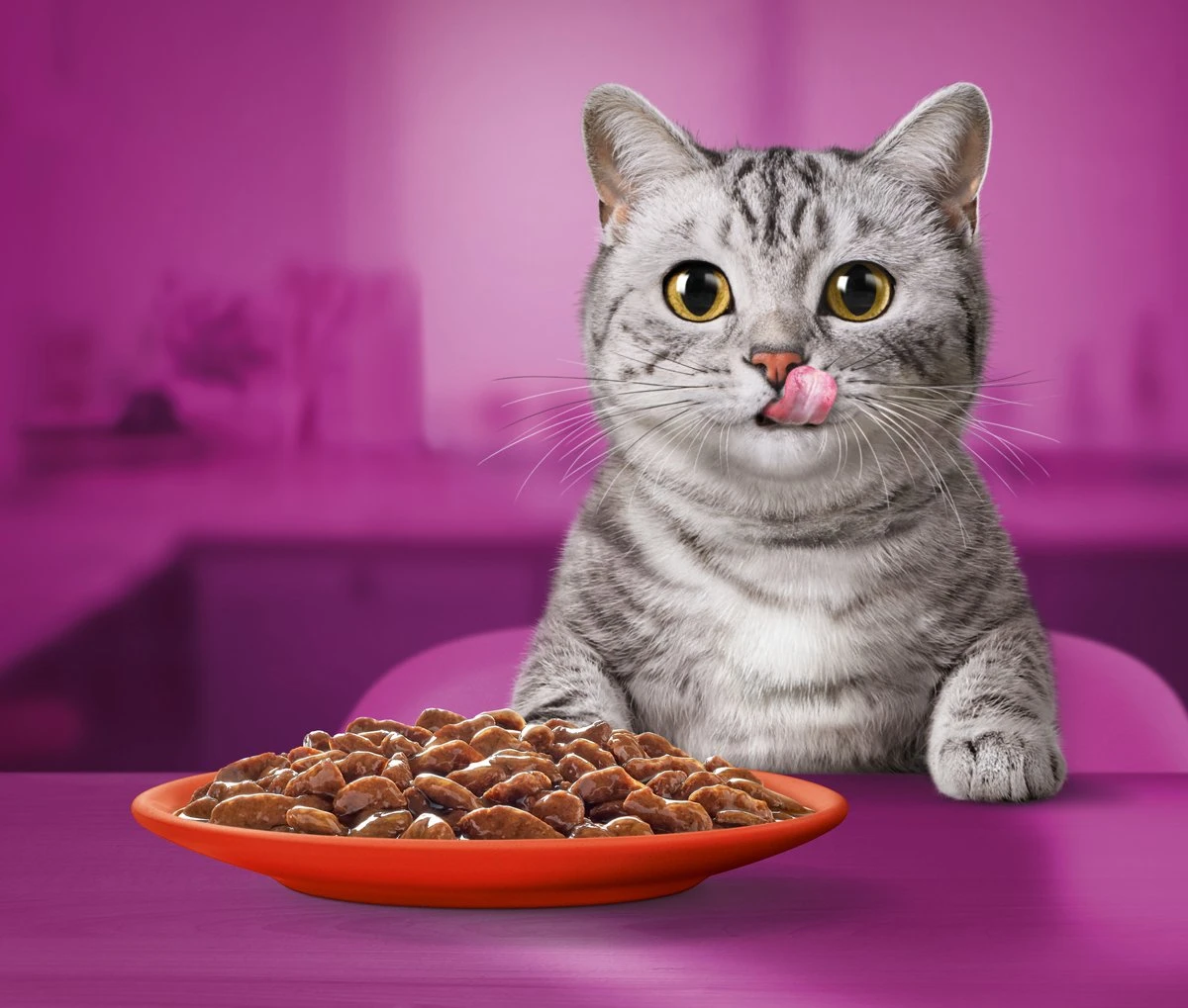 Whiskas 1+ Natvoer - Classic - Selectie In Saus - Maaltijdzakjes 80 X 85 G - Afbeelding 5