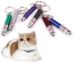 Merkloos Laser Lampje Voor Kat - Met Mini Zaklamp - Kattenlampje
