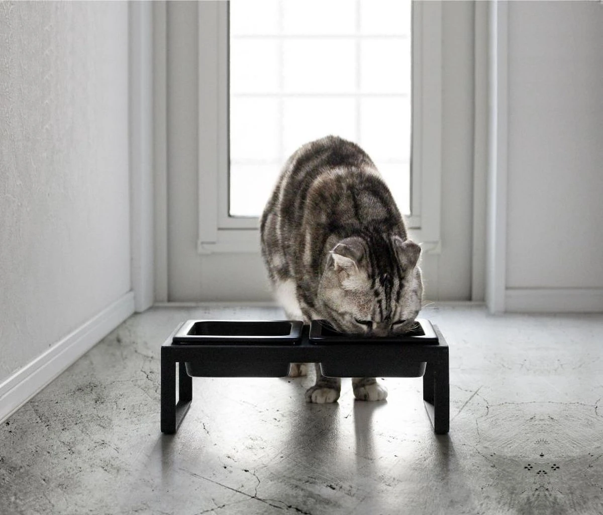 Yamazaki Eetbak - Voederbak Kat - Tweeledig - Zwart - Afbeelding 6