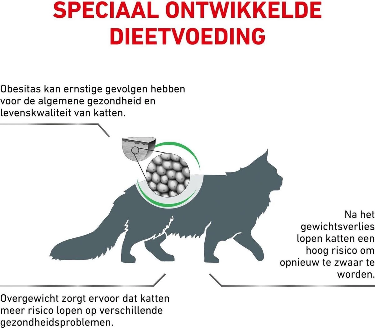 Royal Canin Satiety Weight Management - Kattenvoer - 6 Kg - Afbeelding 4