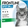 Frontline Spot-On Anti Vlooienmiddel Kat - 6 Pipetten