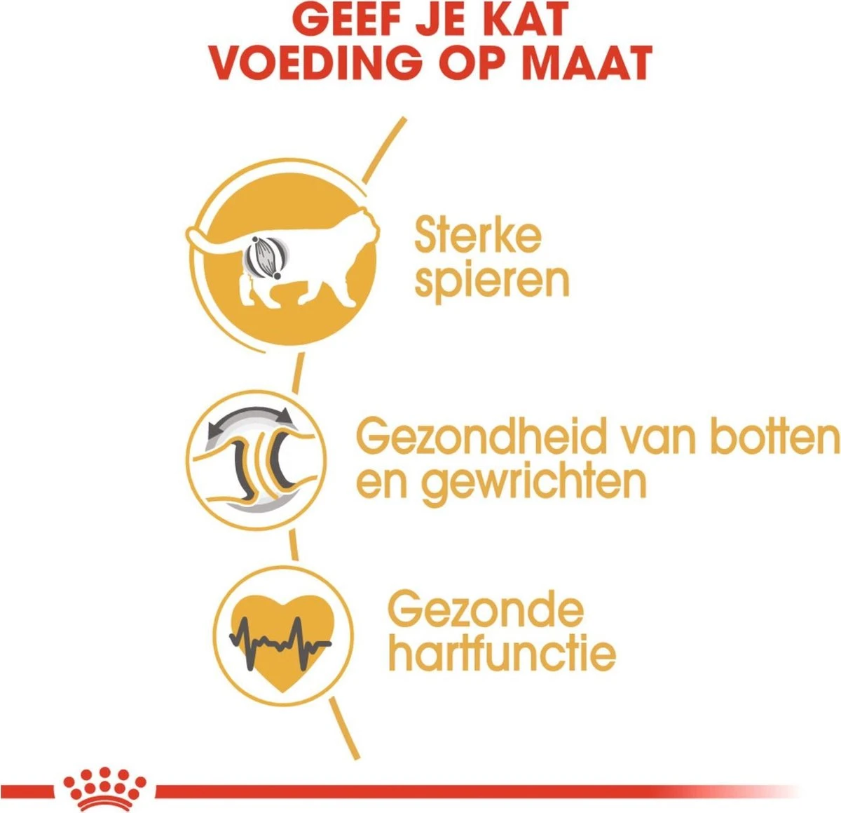 Royal Canin British Shorthair Adult - Kattenvoer - 4 Kg - Afbeelding 4