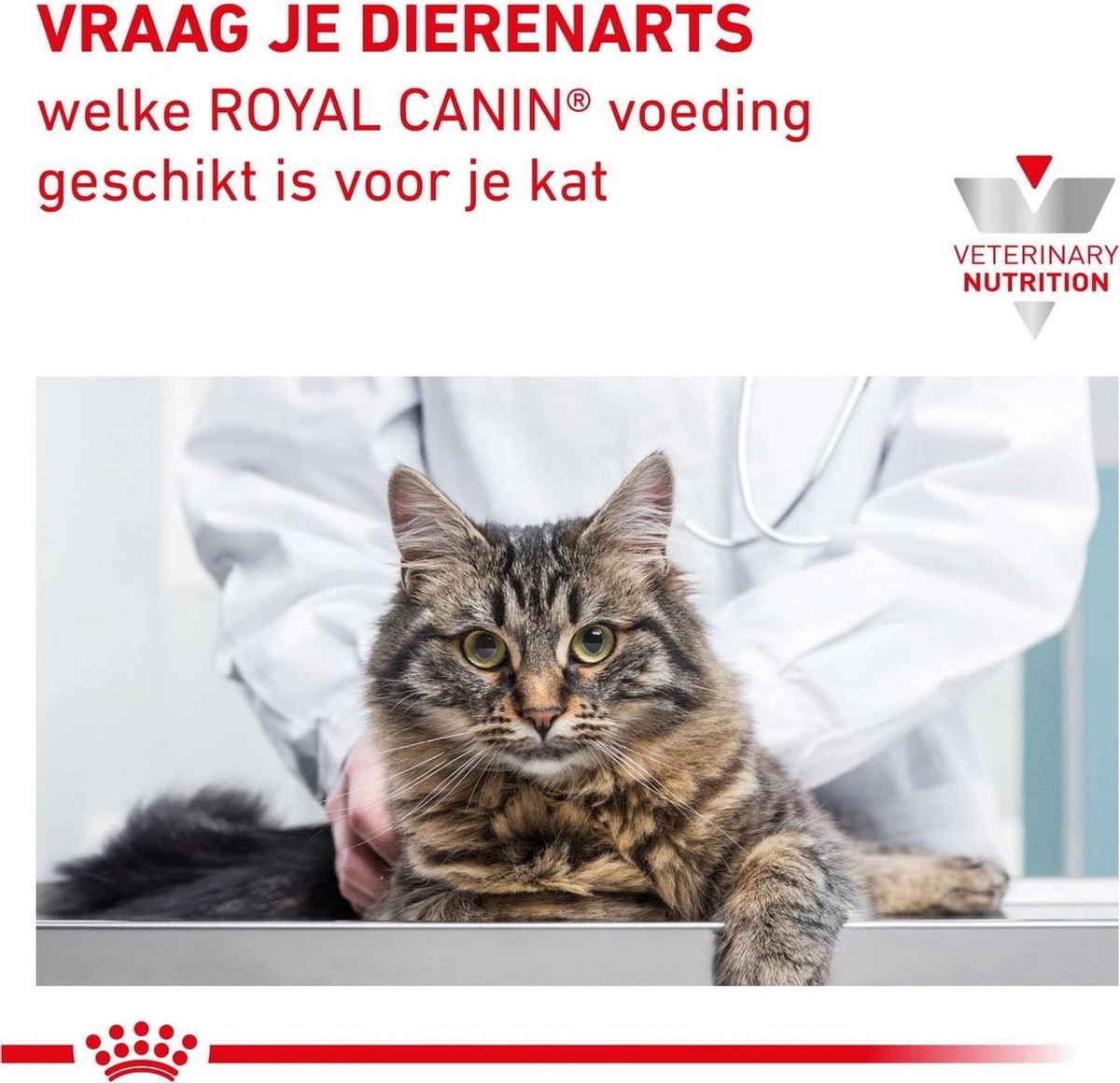 Royal Canin Gastro Intestinal Moderate Calorie - Kattenvoer - 4 Kg - Afbeelding 9