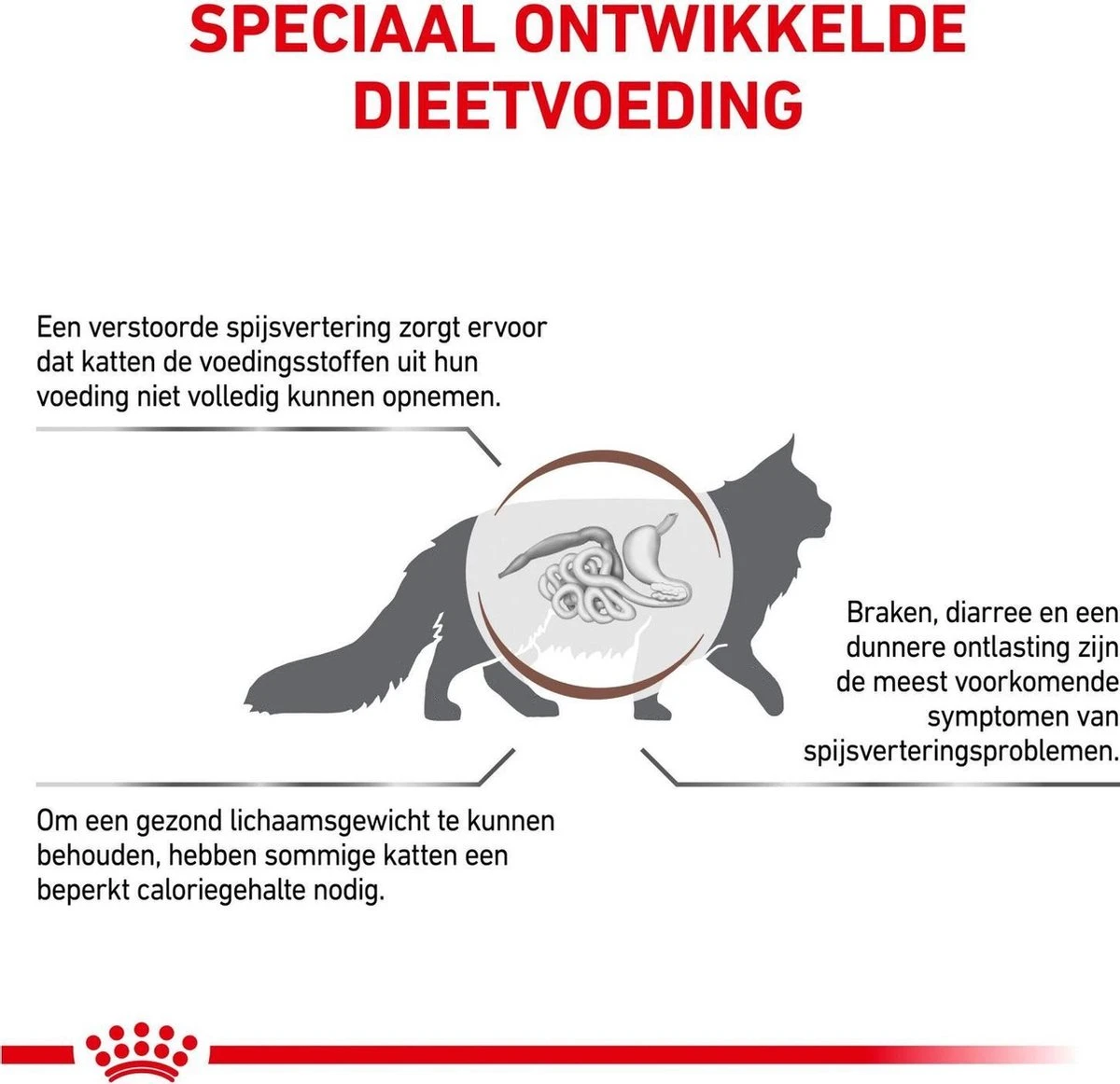 Royal Canin Gastro Intestinal Moderate Calorie - Kattenvoer - 4 Kg - Afbeelding 5