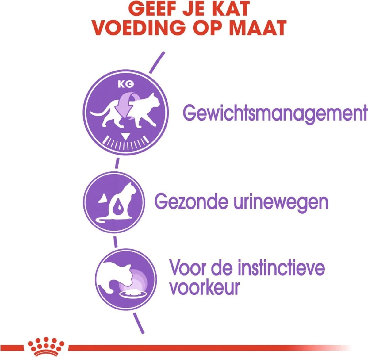 Royal Canin Sterilised In Jelly - Kattenvoer - 1020 G - Afbeelding 4