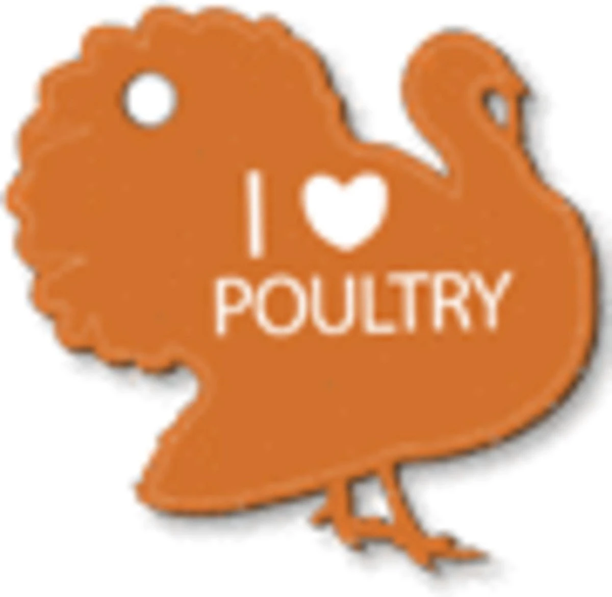 Versele-Laga Lara - Adult - Kalkoen/Kip - Kattenvoer - 2 Kg - Afbeelding 4