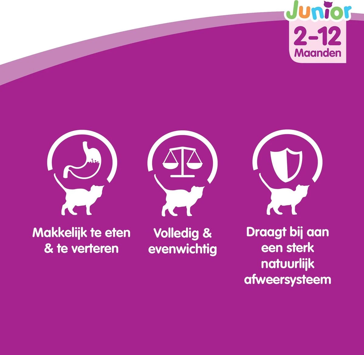 Whiskas Junior Katten Natvoer - Classic Selectie In Saus - 48 X 100g - Afbeelding 3