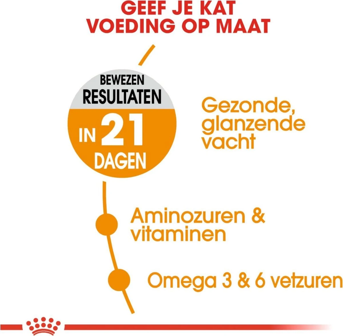 Royal Canin Hair & Skin Care - Kattenvoer - 2 Kg - Afbeelding 3