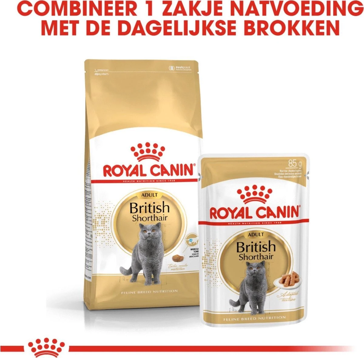 Royal Canin Fbn British Shorthair Adult Pouch - Kattenvoer - 12x85 G - Afbeelding 5