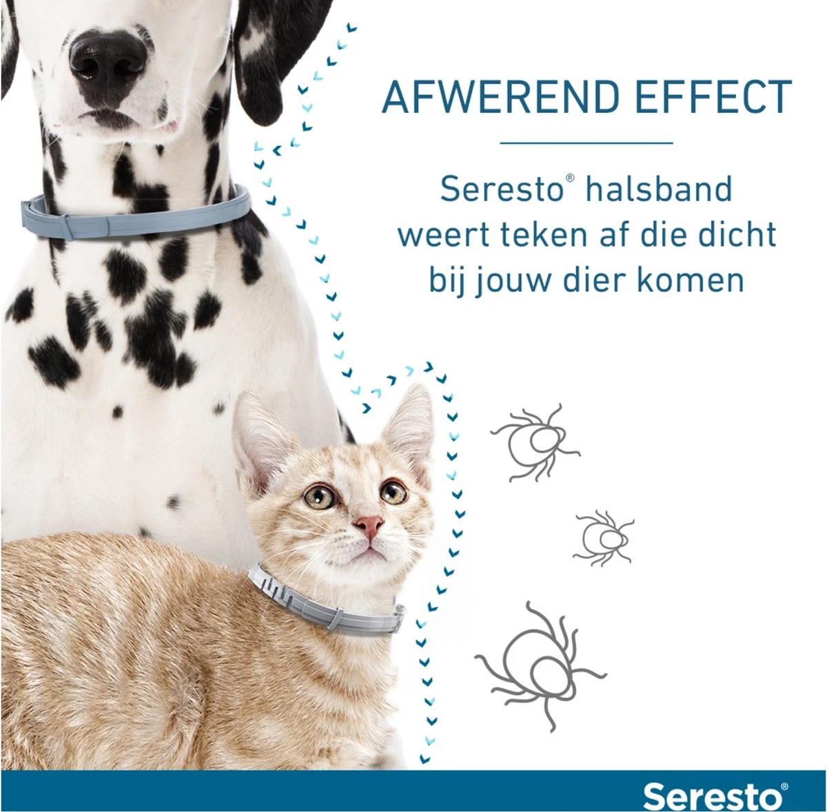 Seresto Teken- En Vlooienband - Anti Tekenmiddel - Kat - 38 Cm - Afbeelding 4