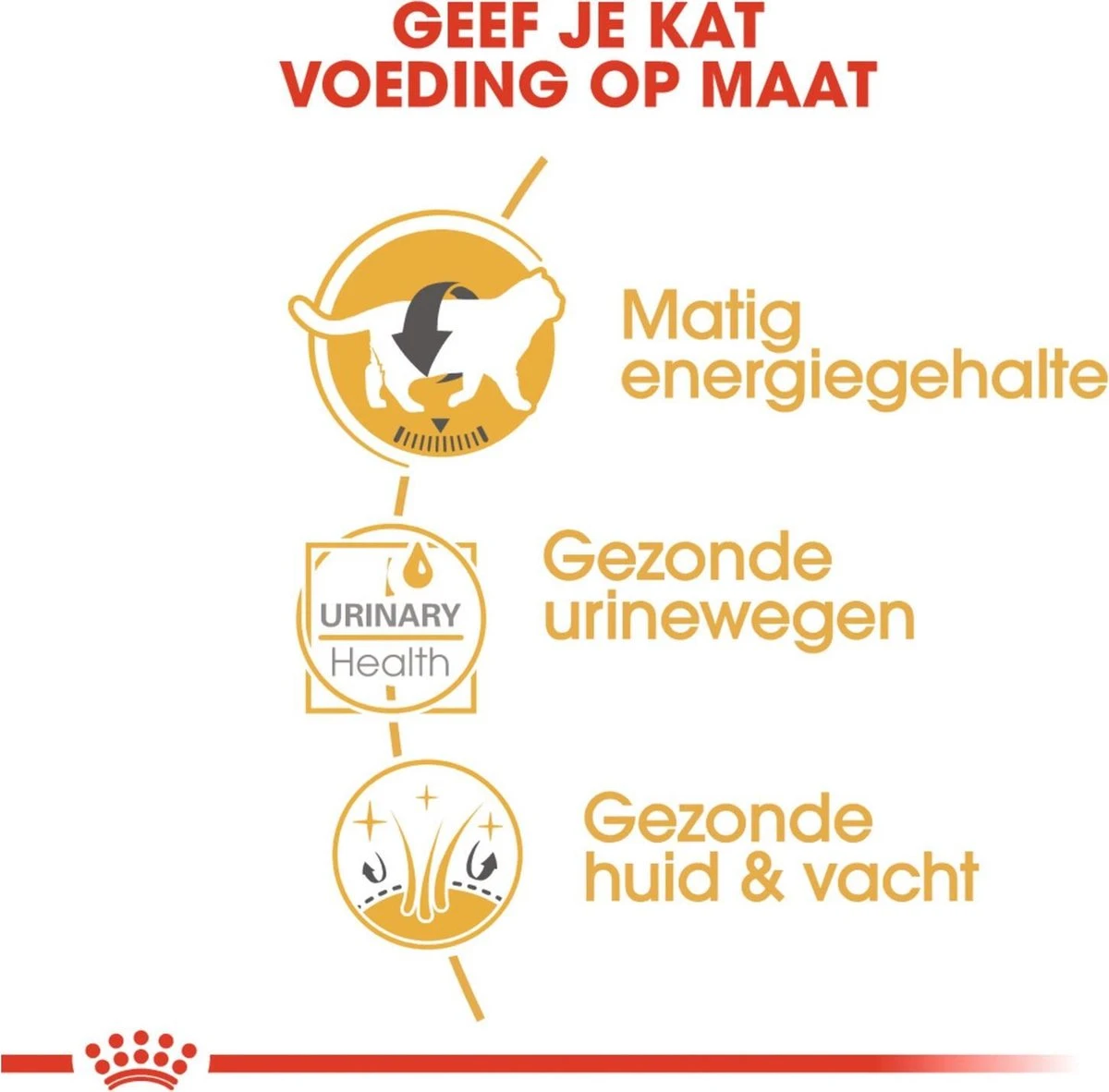 Royal Canin Fbn British Shorthair Adult Pouch - Kattenvoer - 12x85 G - Afbeelding 4