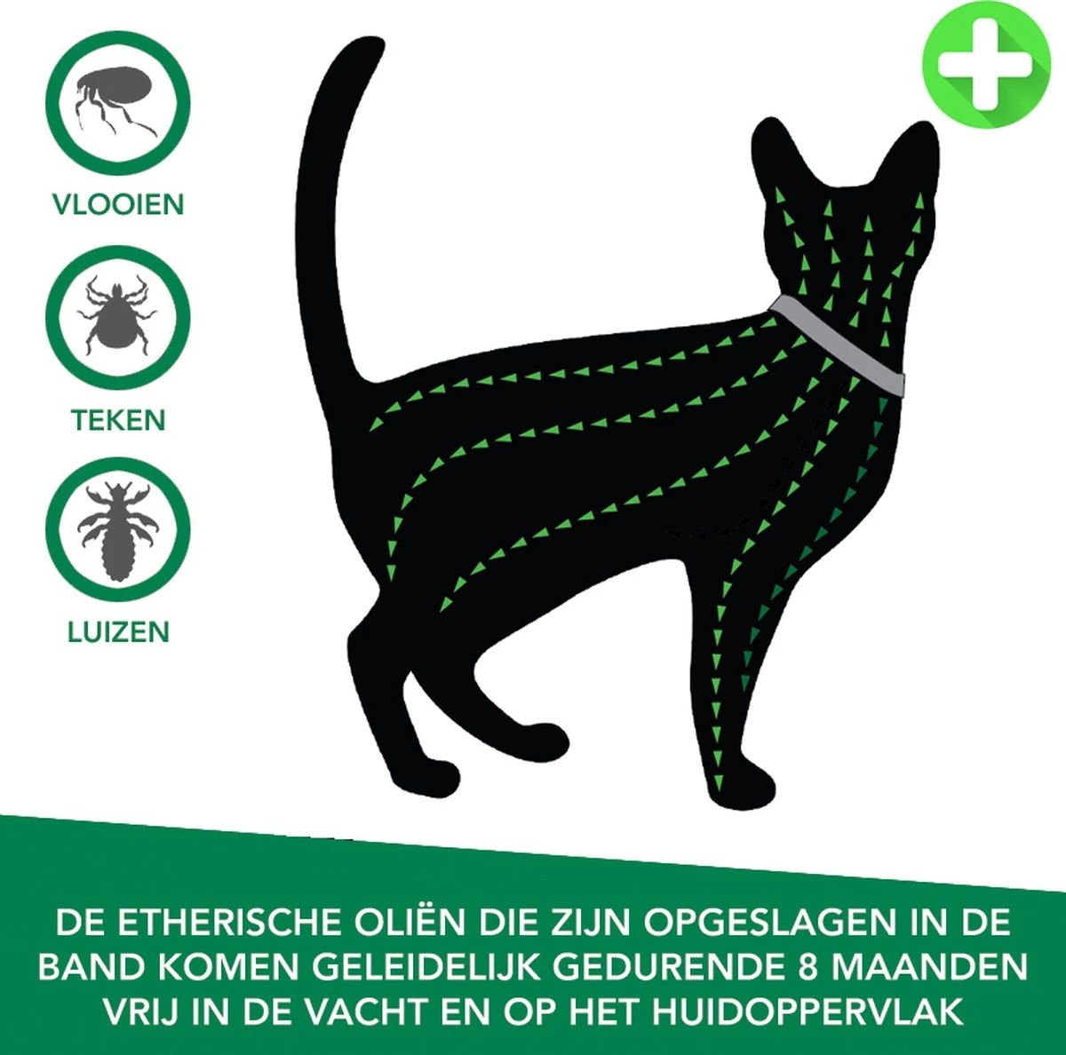 Teken- En Vlooienband Voor Katten PLUS - Natuurlijk Middel Tegen Vlooien En Teken - 100% Natuurlijk - 38,5 CM - Tot 8 Maand Werkzaam - Biologisch - Afbeelding 4