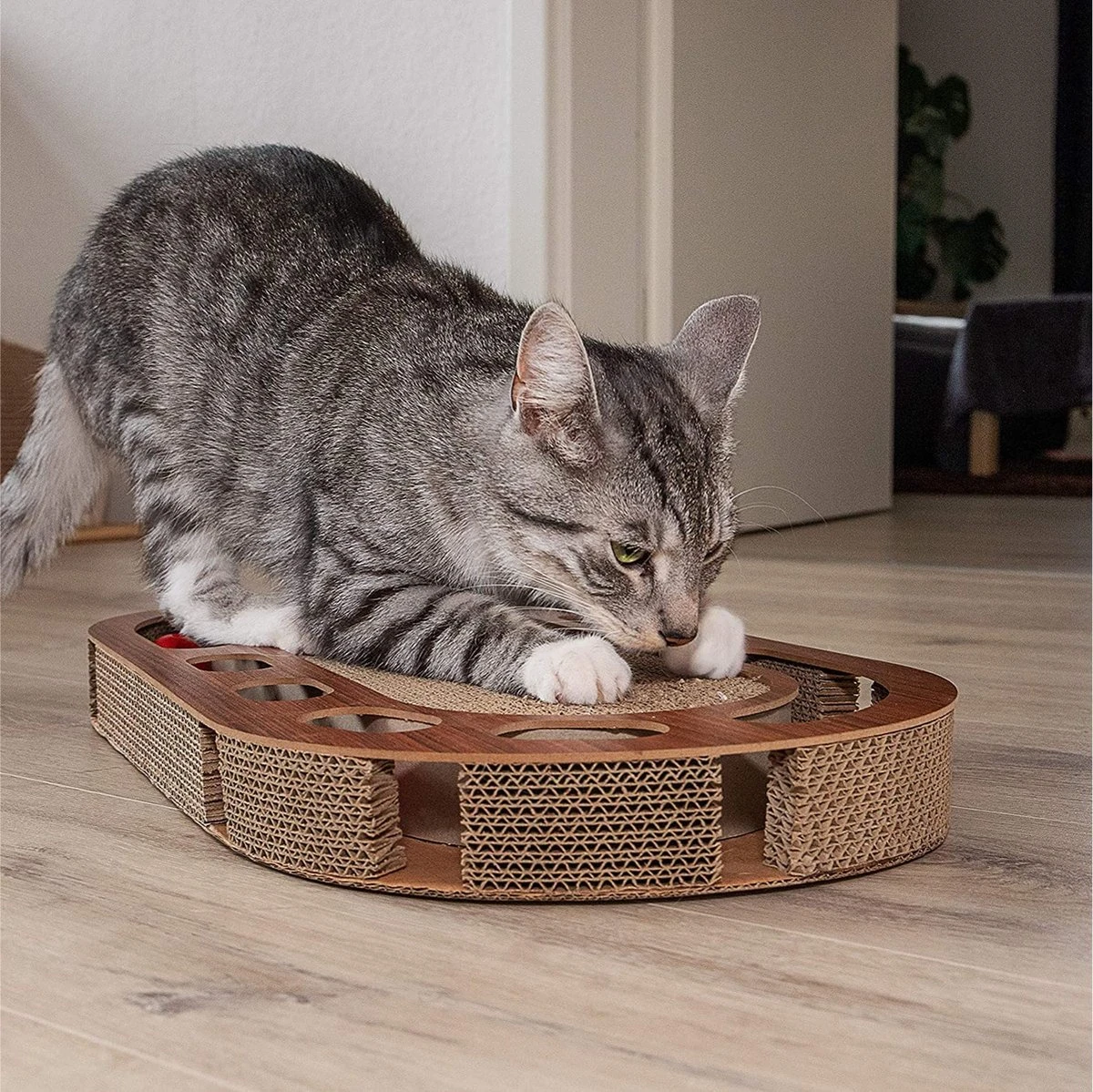 Pfotenolymp® Kattenspeelplaats 57 X 30 X 5 Cm - Interactief Kattenspeelgoed/krabplank Van Golfkarton - Krabplank - Voedselspeeltje Met Speelbal & Kattenkruid/krabplank Voor Katten - Afbeelding 4