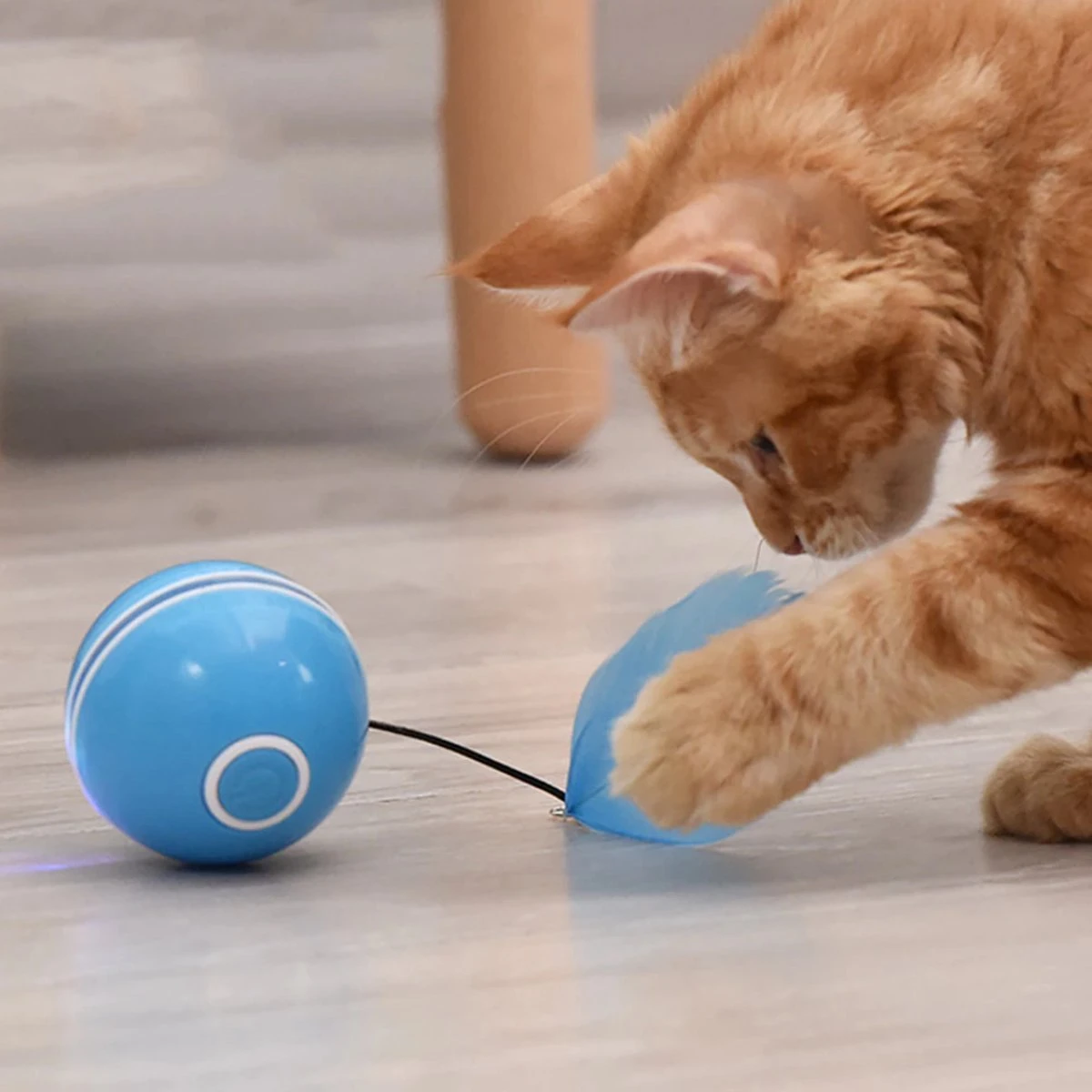 Otiume Elektrische Speelbal - Slimme Interactieve Zelfrollende Bal - Speelgoed Voor Katten - Kattenspeelgoed - Blauw - Afbeelding 5