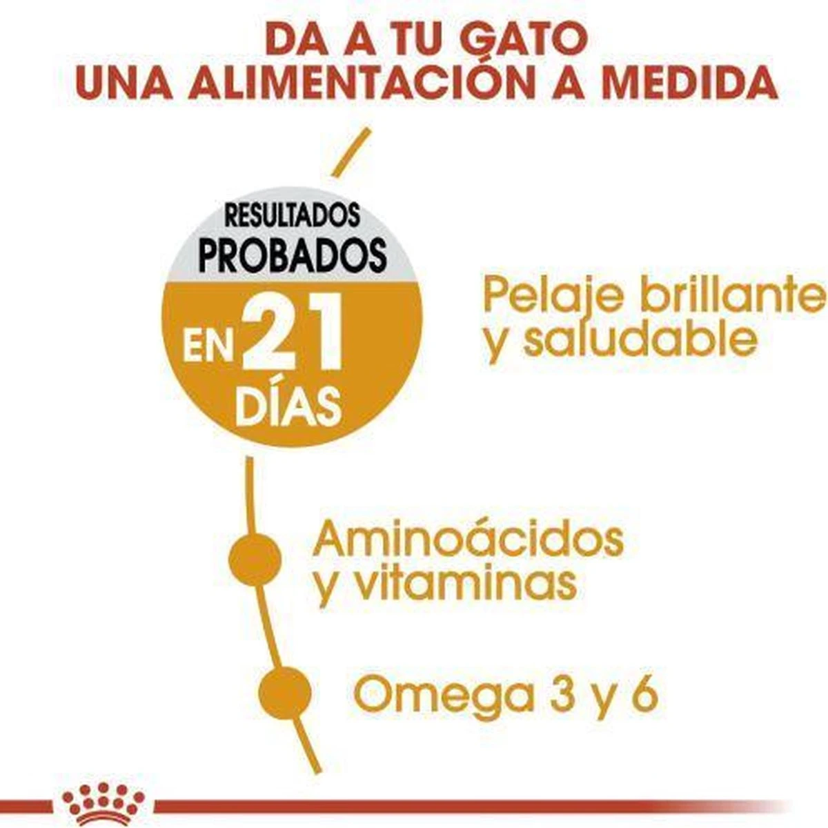 Royal Canin Hair & Skin Care - Kattenvoer - 2 Kg - Afbeelding 16