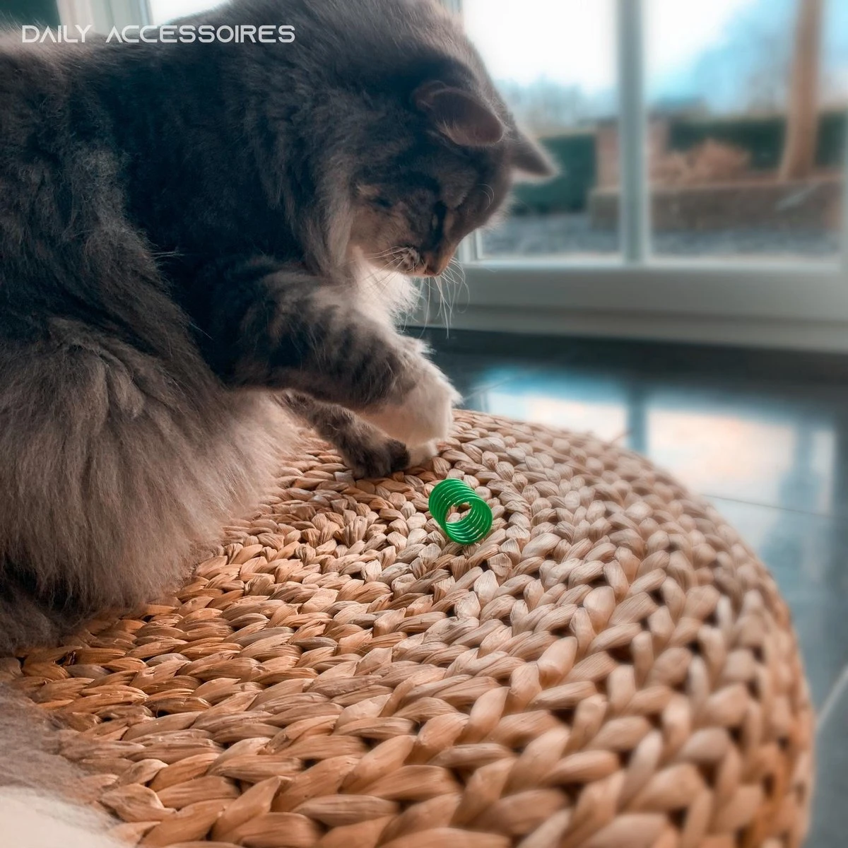 Kattenveertjes - Set 4 Stuks - Kattenspeeltjes - Kattenspeelgoed - Springveertje - Kittenspeeltjes - Kittenveertjes - Afbeelding 2