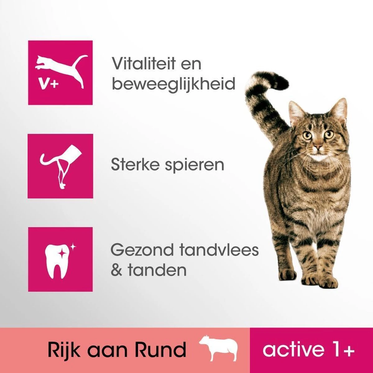 Perfect Fit Active 1+ Katten Droogvoer - Rund - 4 X 750 Gr - Afbeelding 4