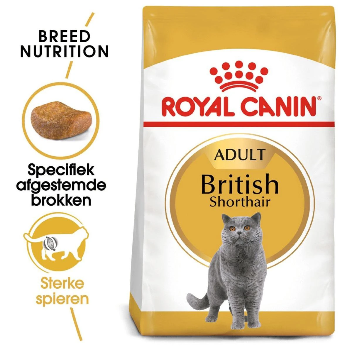 Royal Canin British Shorthair Adult - Kattenvoer - 4 Kg - Afbeelding 9
