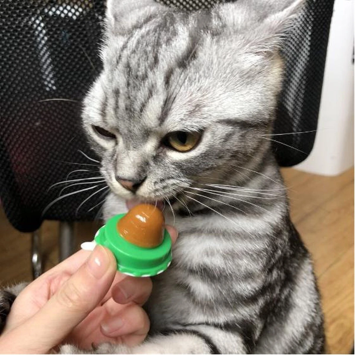 Merkloos EPIN | Kattenkruid Lik Snoepje | Plak Strip | Katten Snacks | Katten Snoep - Afbeelding 2