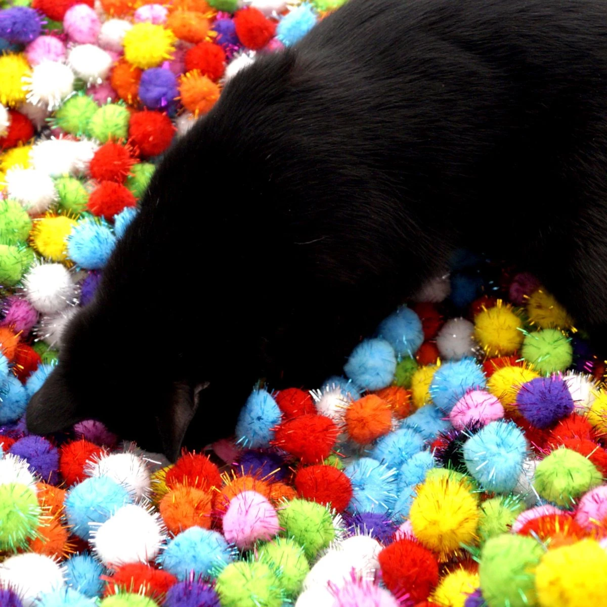 Make Me Purr Glitter Pompon Ballen (10 Stuks) - Kattenspeeltjes - Kattenspeelgoed - Speelgoed Voor Katten - Kat Speeltje Bal - Kitten Speeltjes Balletjes - Afbeelding 4