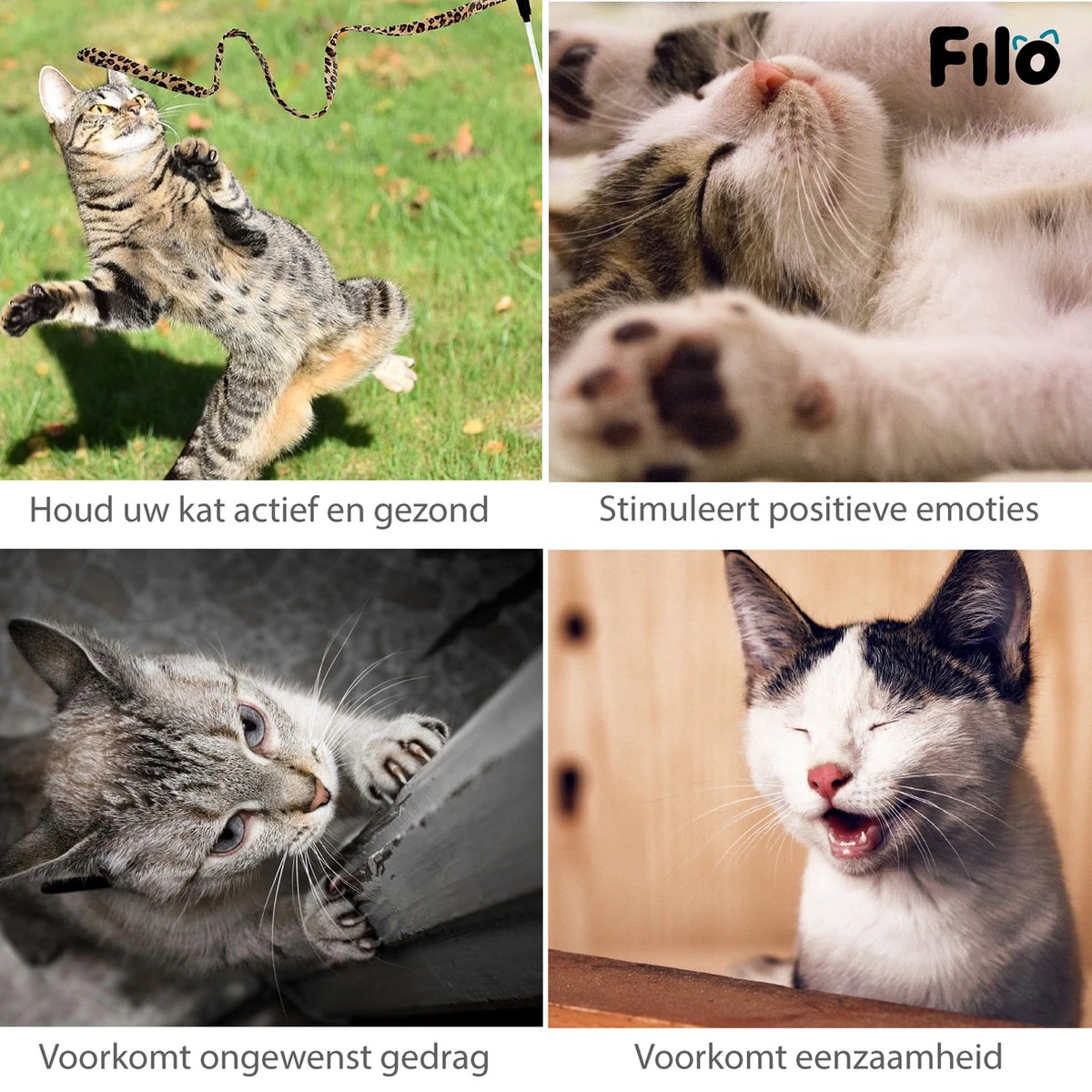 Filo Kattenspeelgoed Set 30 Stuks - Kattenspeeltje Kattentunnel - Kattenhengel - Kattenveertjes - Vis Met Kattenkruid - Kattenspeeltjes Intelligentie Kitten - Interactief Speelgoed Katten - Poezen Speeltjes - Afbeelding 9