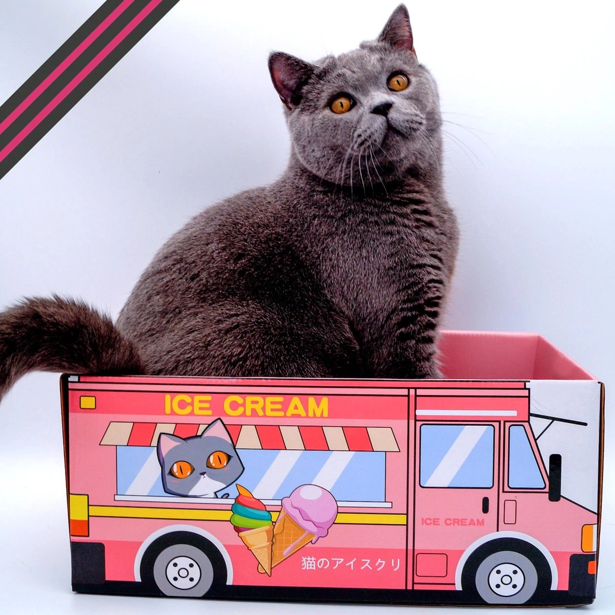 Make Me Purr Kattendoos Van Karton (Ice Cream) - Inclusief Kartonnen Krabmat - Speelgoed Doos Voor Katten Met Krab Mat - Kat Krabpaal Speeltje - Kattenbed Kattenmand Kattenhuis Kattentunnel - Kattenspeelgoed - Kattenspeeltjes - Kitten Speeltjes - Afbeelding 4