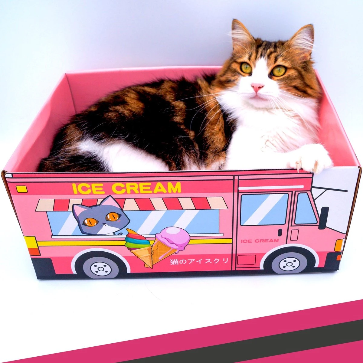 Make Me Purr Kattendoos Van Karton (Ice Cream) - Inclusief Kartonnen Krabmat - Speelgoed Doos Voor Katten Met Krab Mat - Kat Krabpaal Speeltje - Kattenbed Kattenmand Kattenhuis Kattentunnel - Kattenspeelgoed - Kattenspeeltjes - Kitten Speeltjes - Afbeelding 5