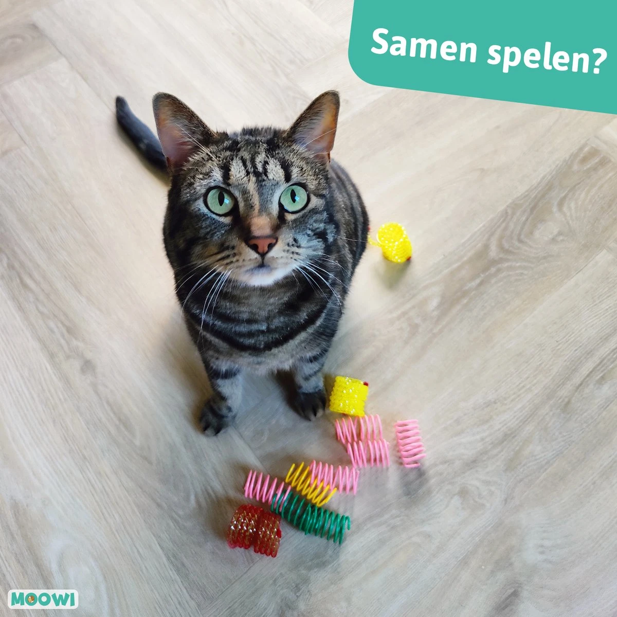 Moowi - Springveren 30 Stuks - Kat - Kattenveertjes - Kattenspeelgoed - Afbeelding 4