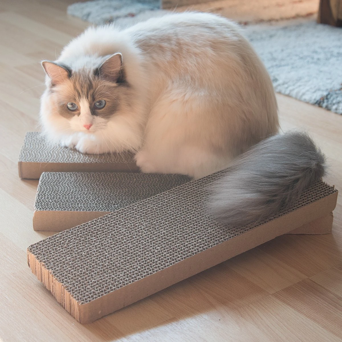 Navaris Kartonnen Krabplanken Voor Katten - Krabkarton Set Van 3 Stuks - 3 Krabmatten - Katten Karton Voor Ontspanning En Spelen - Afbeelding 4