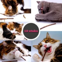 Make Me Purr Matatabi Sticks (10 Stuks) - Silver Vine Kattenkruid Stokjes - Catnip Effect Kauwstokjes - Kattensnack Kattensnoepjes - Kattenspeelgoed Kattenspeeltjes