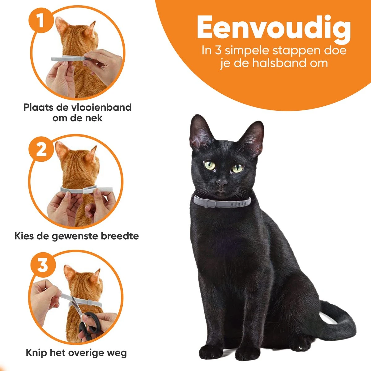 Nafurapets Vlooienband Voor Kat – Anti Vlooien – Teken Band – 100% Natuurlijk – 8 Maanden Bescherming – Grote & Kleine Kat - Afbeelding 2