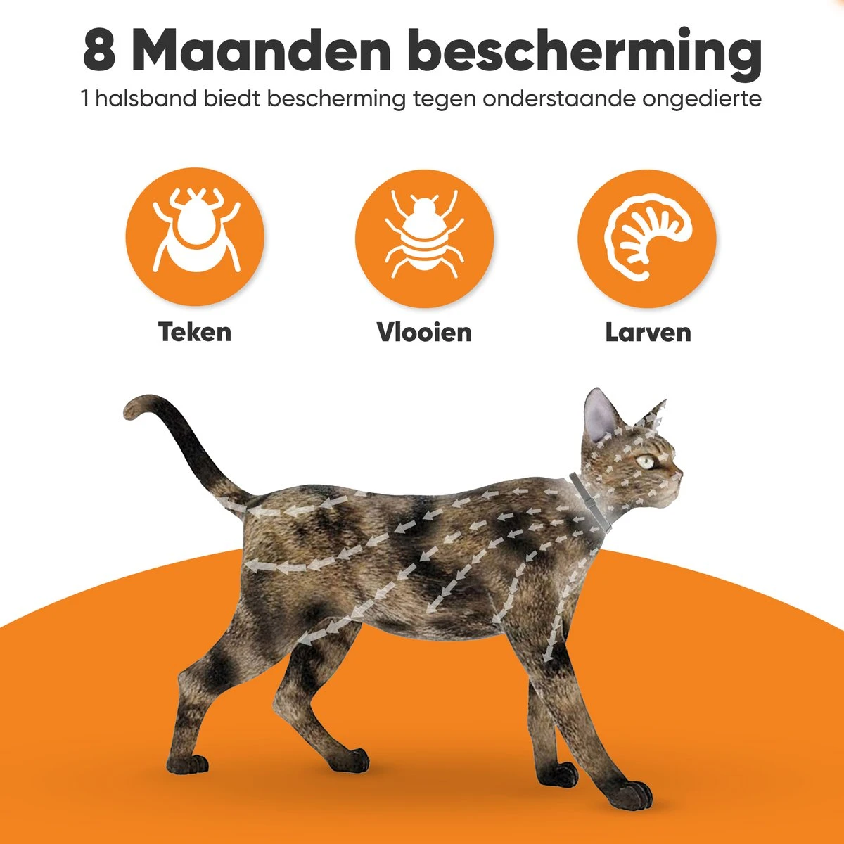 Nafurapets Vlooienband Voor Kat – Anti Vlooien – Teken Band – 100% Natuurlijk – 8 Maanden Bescherming – Grote & Kleine Kat - Afbeelding 4