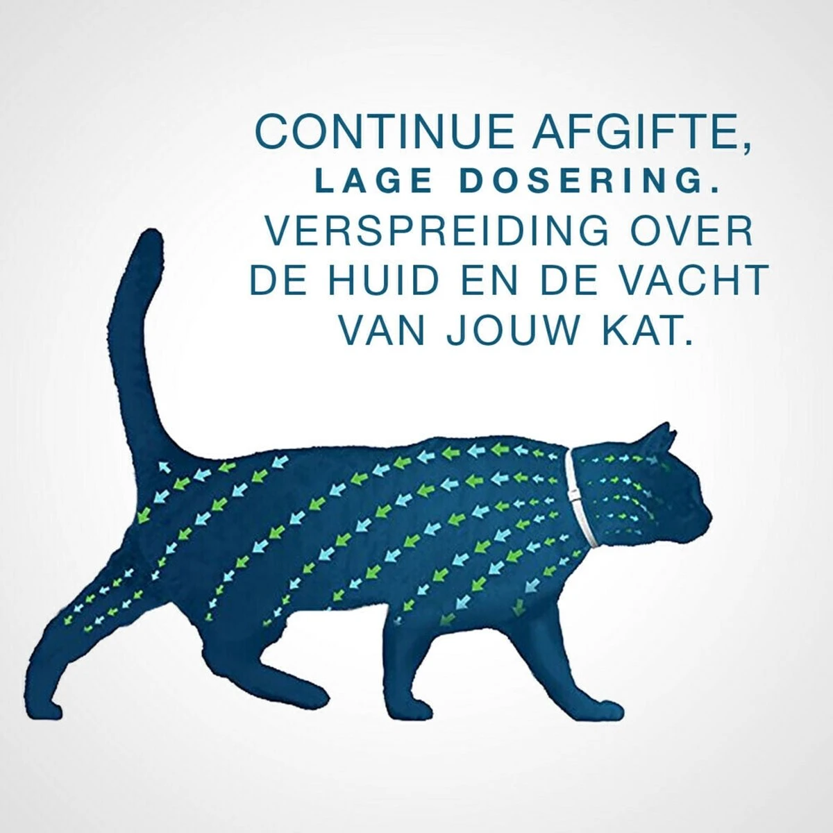 Seresto Teken- En Vlooienband - Anti Tekenmiddel - Kat - 38 Cm - Afbeelding 10