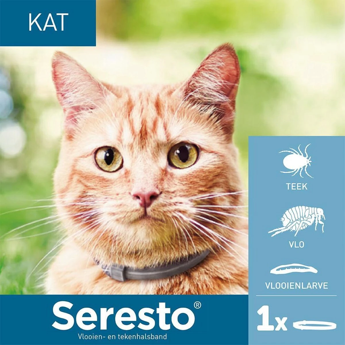 Seresto Teken- En Vlooienband - Anti Tekenmiddel - Kat - 38 Cm - Afbeelding 20