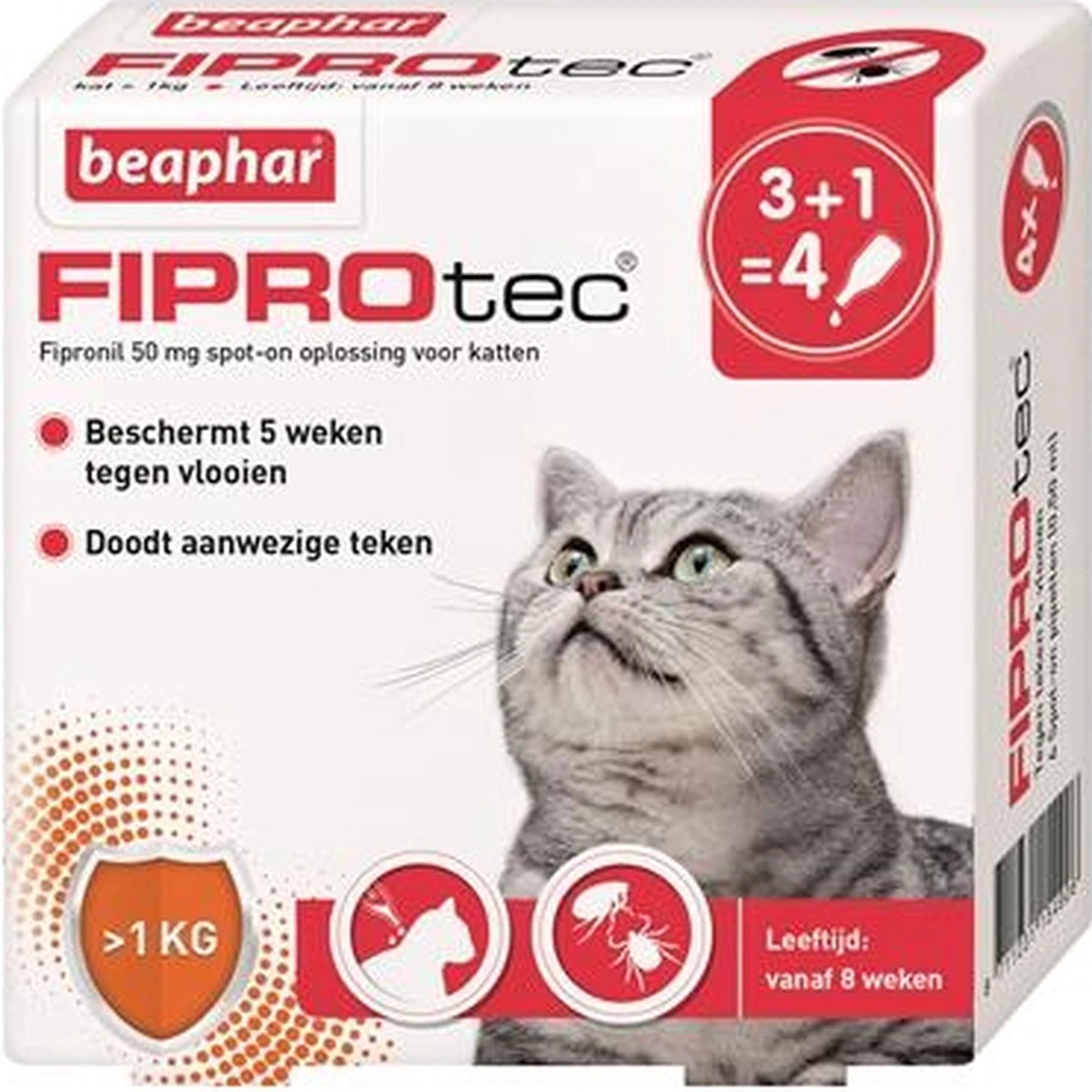 Beaphar Fiprotec Kat - Vlooienbestrijding - >1 Kg - 4 Pipetten - Afbeelding 7