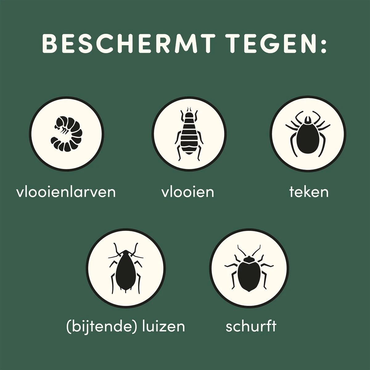 3 Stuks Vlooienband Kat Tekenband - 100% Natuurlijk Veilig En Waterbestendig - Afbeelding 8