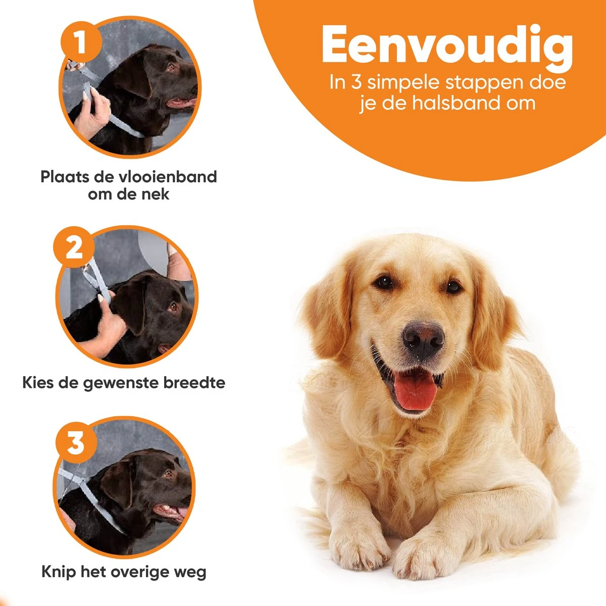 Nafurapets Vlooienband Voor Hond – Anti Vlooien – Teken Band – 100% Natuurlijk – 8 Maanden Bescherming – Grote & Kleine Hond - Afbeelding 2