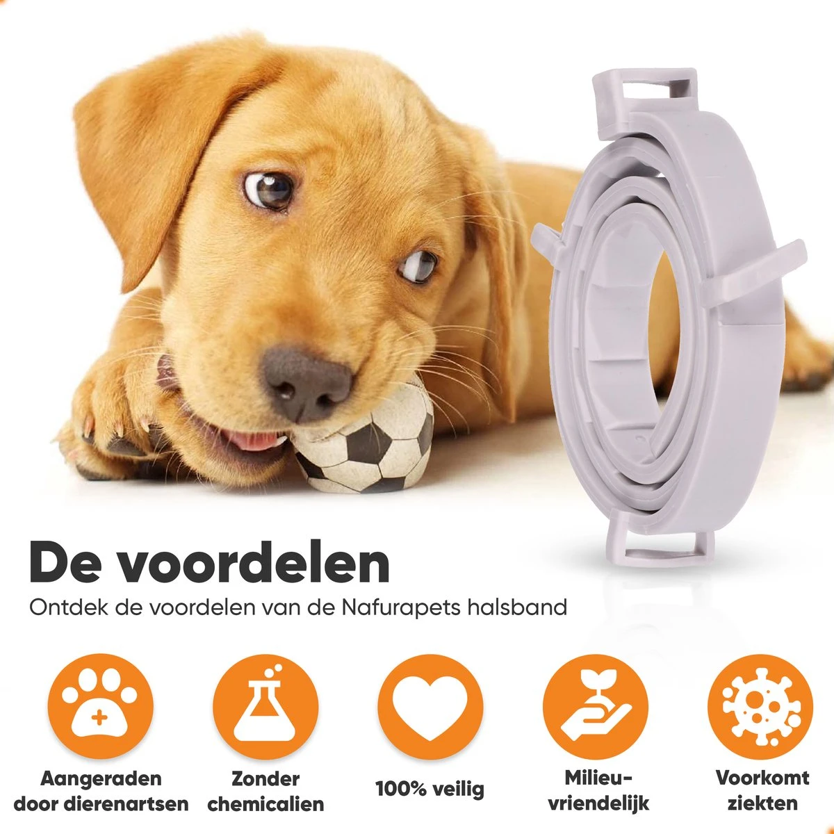 Nafurapets Vlooienband Voor Hond – Anti Vlooien – Teken Band – 100% Natuurlijk – 8 Maanden Bescherming – Grote & Kleine Hond - Afbeelding 4