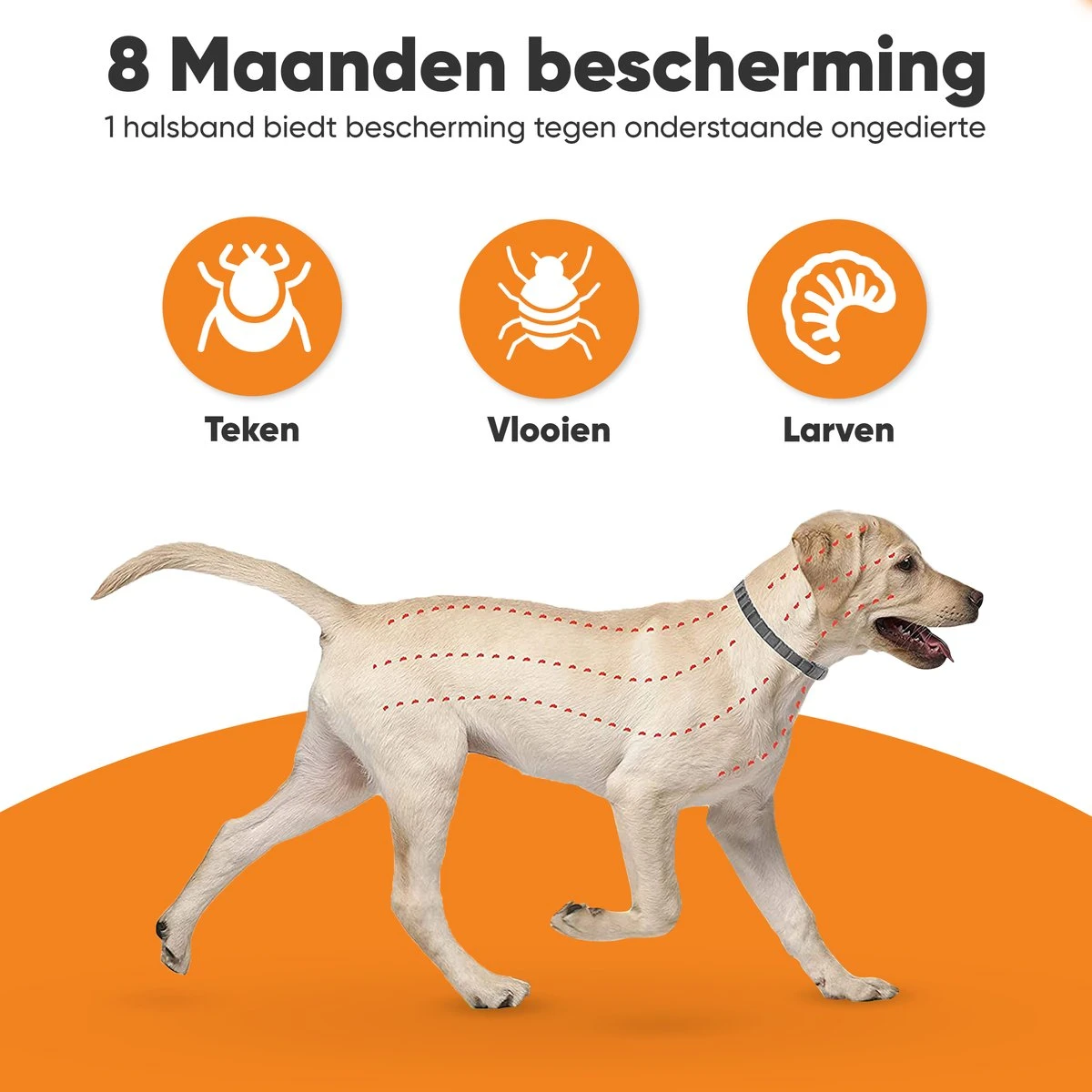 Nafurapets Vlooienband Voor Hond – Anti Vlooien – Teken Band – 100% Natuurlijk – 8 Maanden Bescherming – Grote & Kleine Hond - Afbeelding 5